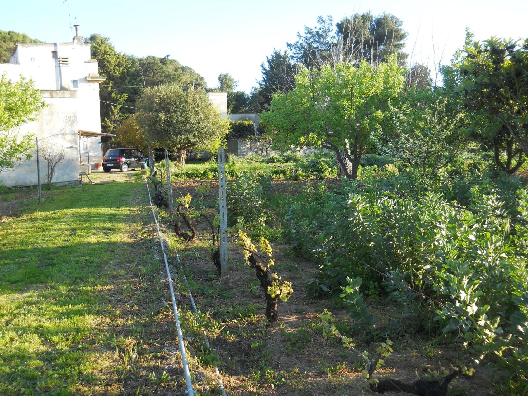 Il Giardino Casa Vacanze Villa Galatone Buitenkant foto